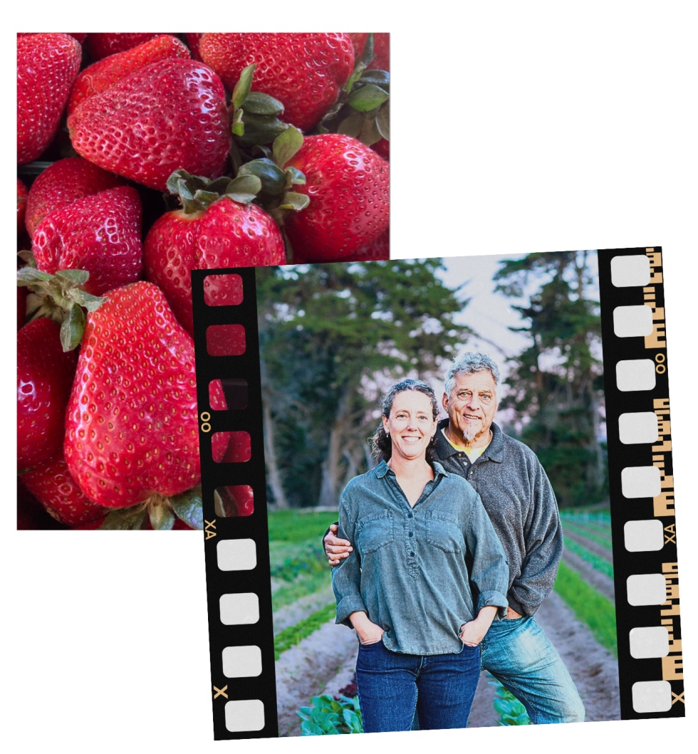 Halcyon Farms Halcyon Farms